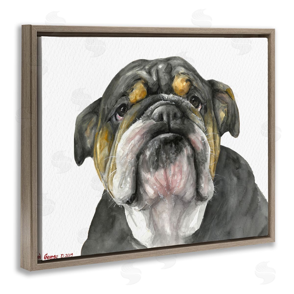 George Dyachenko Chubby Bulldog Portrait Old Dog Charm Black Brown Brown Floater Frame Canvas Art