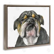 George Dyachenko | Chubby Bulldog Portrait Old Dog Charm Black Brown