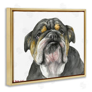 George Dyachenko | Chubby Bulldog Portrait Old Dog Charm Black Brown