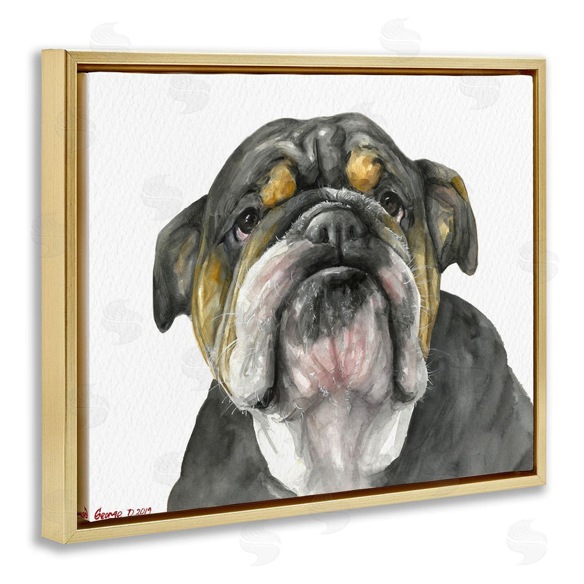 George Dyachenko | Chubby Bulldog Portrait Old Dog Charm Black Brown