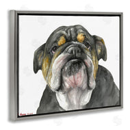 George Dyachenko | Chubby Bulldog Portrait Old Dog Charm Black Brown