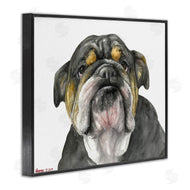 George Dyachenko | Chubby Bulldog Portrait Old Dog Charm Black Brown