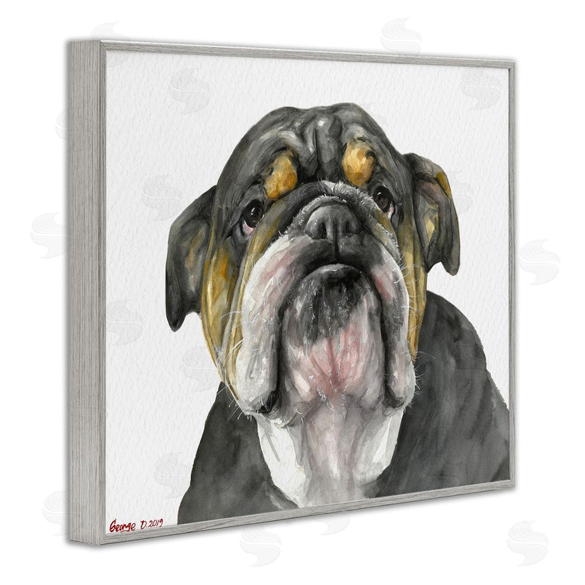 George Dyachenko | Chubby Bulldog Portrait Old Dog Charm Black Brown