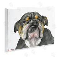 George Dyachenko | Chubby Bulldog Portrait Old Dog Charm Black Brown