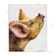 George Dyachenko | Oxford Sandy Piglet Adorable Farm Animal Gaze