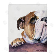 George Dyachenko | Curious English Bulldog Gaze Pet Dog Portrait