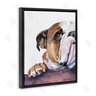 George Dyachenko | Curious English Bulldog Gaze Pet Dog Portrait
