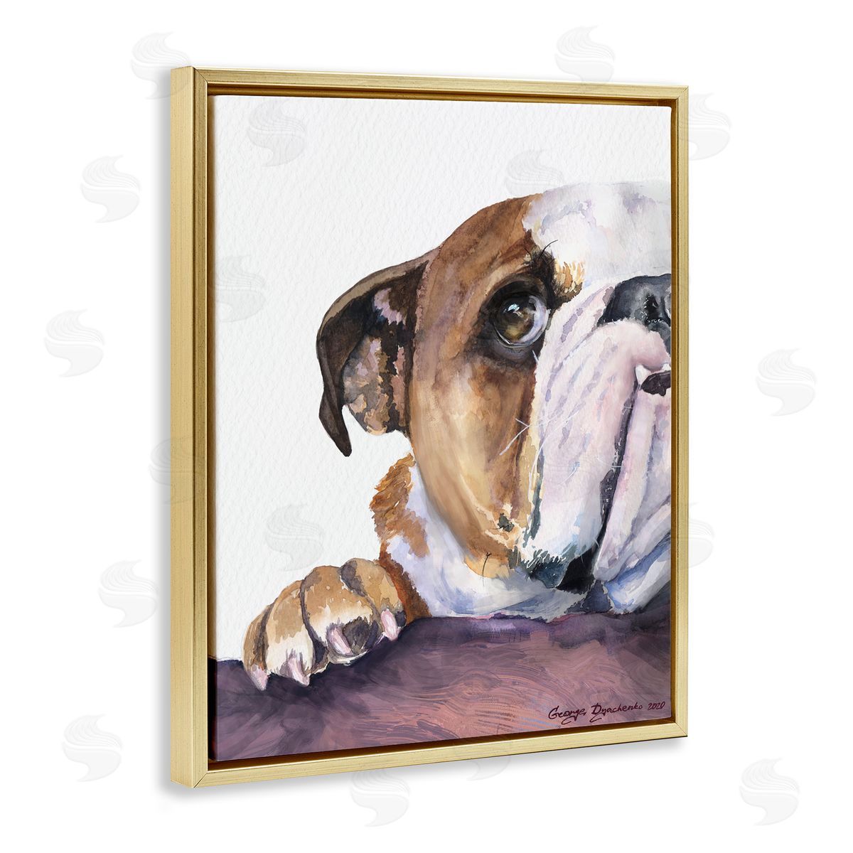 George Dyachenko Curious English Bulldog Gaze Pet Dog Portrait Gold Floater Frame Canvas Art