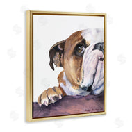George Dyachenko | Curious English Bulldog Gaze Pet Dog Portrait