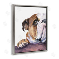 George Dyachenko | Curious English Bulldog Gaze Pet Dog Portrait