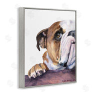 George Dyachenko | Curious English Bulldog Gaze Pet Dog Portrait