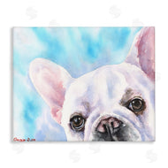 George Dyachenko | French Bulldog Puppy Eyes Gaze White Blue
