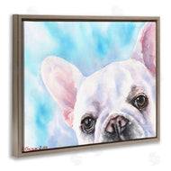 George Dyachenko | French Bulldog Puppy Eyes Gaze White Blue