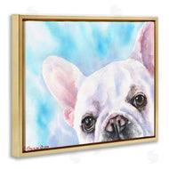 George Dyachenko | French Bulldog Puppy Eyes Gaze White Blue