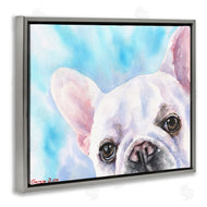 George Dyachenko | French Bulldog Puppy Eyes Gaze White Blue