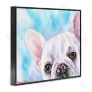 George Dyachenko | French Bulldog Puppy Eyes Gaze White Blue