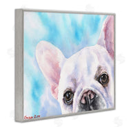 George Dyachenko | French Bulldog Puppy Eyes Gaze White Blue