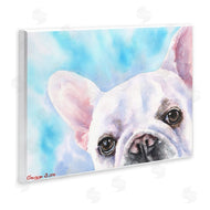 George Dyachenko | French Bulldog Puppy Eyes Gaze White Blue