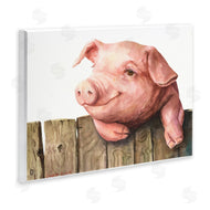 George Dyachenko | Piglet on Wooden Fence Pink Farm Animal