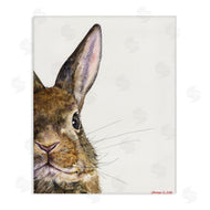 George Dyachenko | Farm Rabbit Gaze Adorable Whiskered Animal