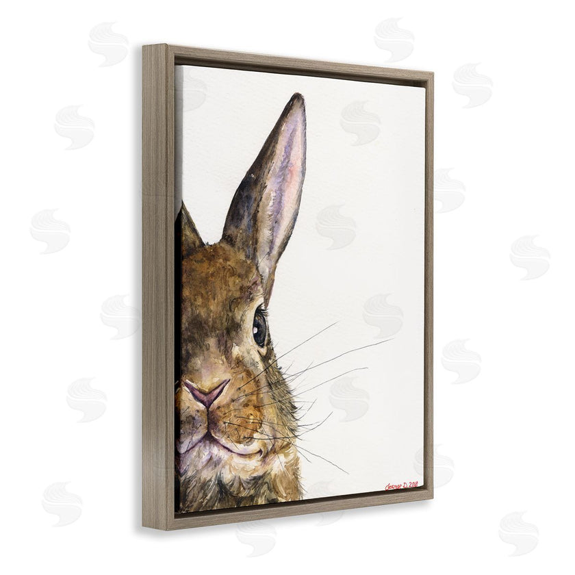 George Dyachenko | Farm Rabbit Gaze Adorable Whiskered Animal