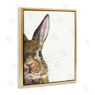 George Dyachenko | Farm Rabbit Gaze Adorable Whiskered Animal