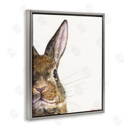 George Dyachenko | Farm Rabbit Gaze Adorable Whiskered Animal