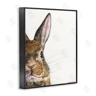 George Dyachenko | Farm Rabbit Gaze Adorable Whiskered Animal
