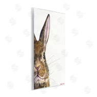 George Dyachenko | Farm Rabbit Gaze Adorable Whiskered Animal