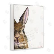 George Dyachenko | Farm Rabbit Gaze Adorable Whiskered Animal