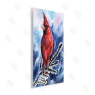 George Dyachenko | Red Cardinal Perched on Pine Branch over Blue