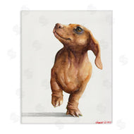 George Dyachenko | Little Dachshund Dog Strutt Adorable Pet Portrait