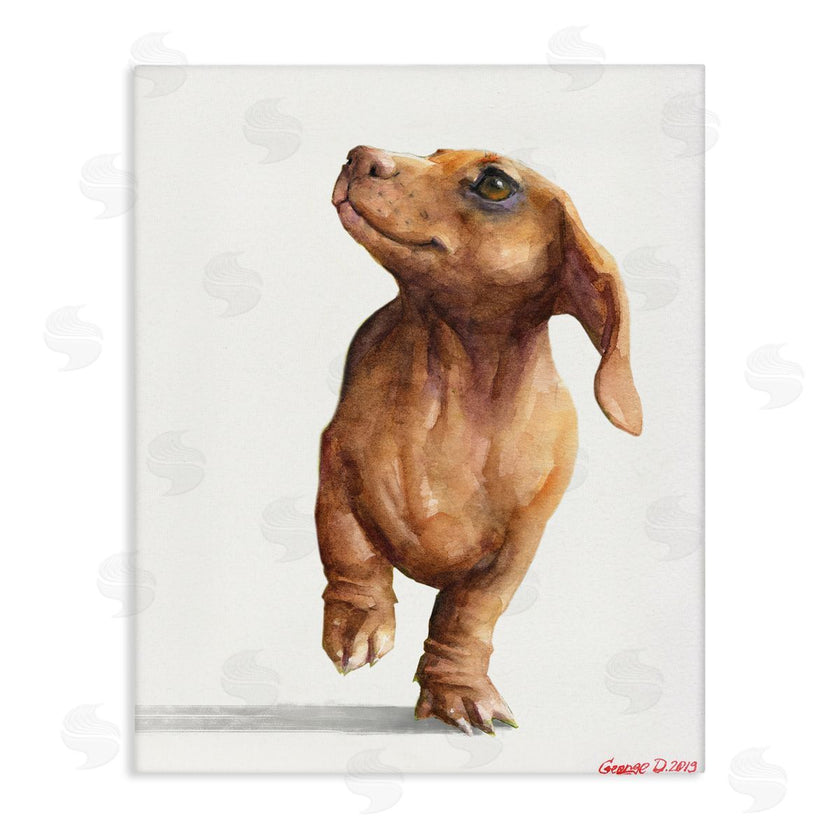 George Dyachenko | Little Dachshund Dog Strutt Adorable Pet Portrait
