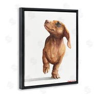 George Dyachenko | Little Dachshund Dog Strutt Adorable Pet Portrait