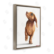 George Dyachenko | Little Dachshund Dog Strutt Adorable Pet Portrait