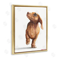George Dyachenko | Little Dachshund Dog Strutt Adorable Pet Portrait