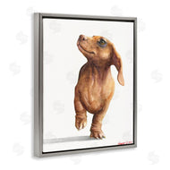 George Dyachenko | Little Dachshund Dog Strutt Adorable Pet Portrait