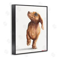 George Dyachenko | Little Dachshund Dog Strutt Adorable Pet Portrait