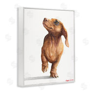 George Dyachenko | Little Dachshund Dog Strutt Adorable Pet Portrait