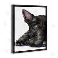 George Dyachenko | Sleepy Scottish Terrier Portrait Adorable Pet Dog