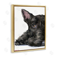 George Dyachenko | Sleepy Scottish Terrier Portrait Adorable Pet Dog