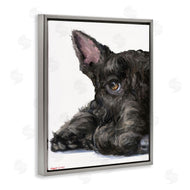 George Dyachenko | Sleepy Scottish Terrier Portrait Adorable Pet Dog