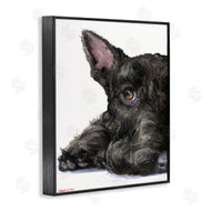 George Dyachenko | Sleepy Scottish Terrier Portrait Adorable Pet Dog