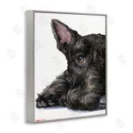 George Dyachenko | Sleepy Scottish Terrier Portrait Adorable Pet Dog