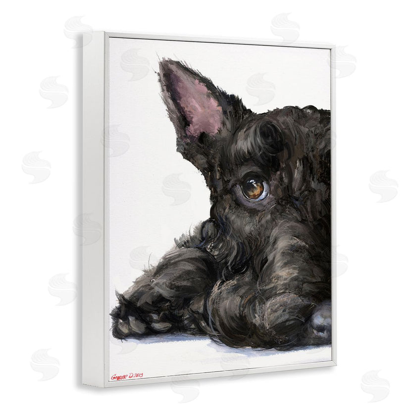 George Dyachenko | Sleepy Scottish Terrier Portrait Adorable Pet Dog