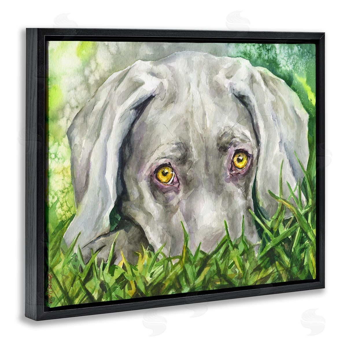 George Dyachenko Weimaraner Puppy Dog Resting In Green Grass Black Floater Frame Canvas Art