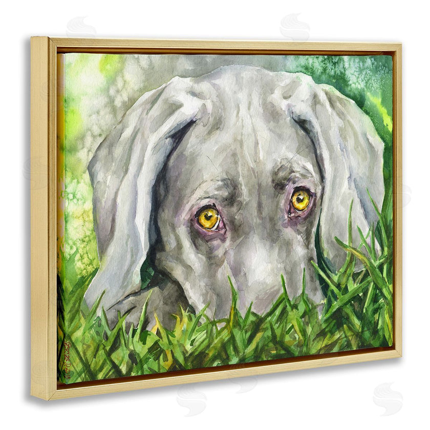 George Dyachenko | Weimaraner Puppy Dog Resting In Green Grass