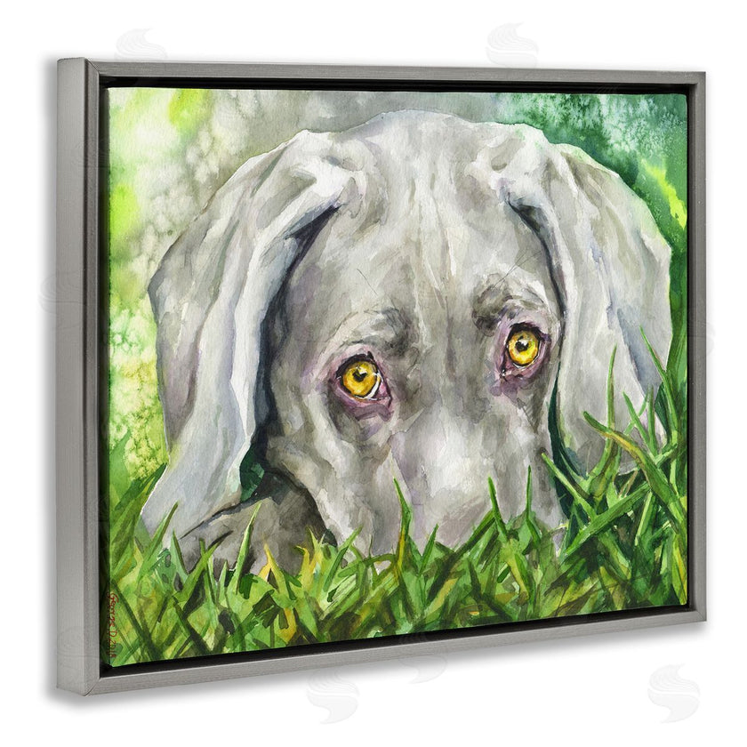 George Dyachenko | Weimaraner Puppy Dog Resting In Green Grass