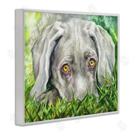 George Dyachenko | Weimaraner Puppy Dog Resting In Green Grass