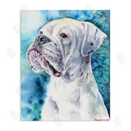 George Dyachenko | White Boxer Gaze Pet Dog over Blue